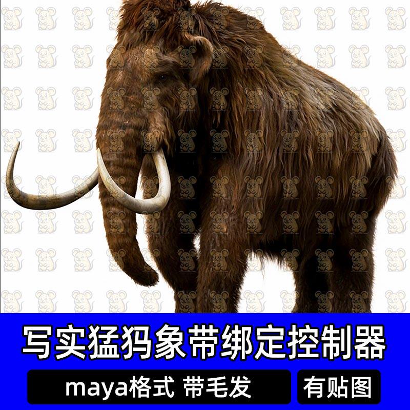 Maya写实猛犸象大象动物有毛发Vray渲染器带骨骼绑定控制器3D模型