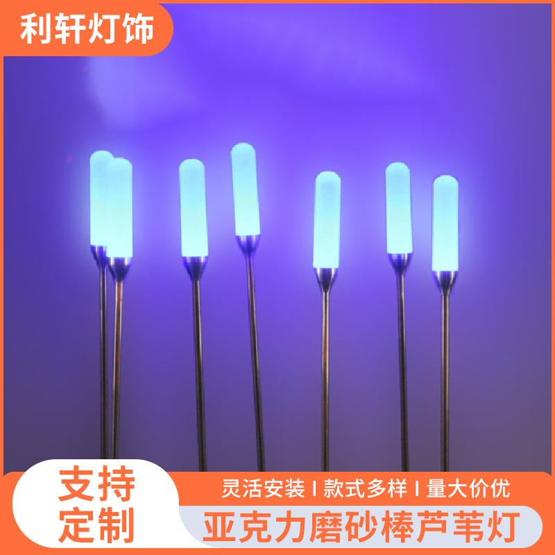 led景观灯户外防水芦苇灯园林装饰亮化不锈钢芦苇灯亚克力磨砂棒