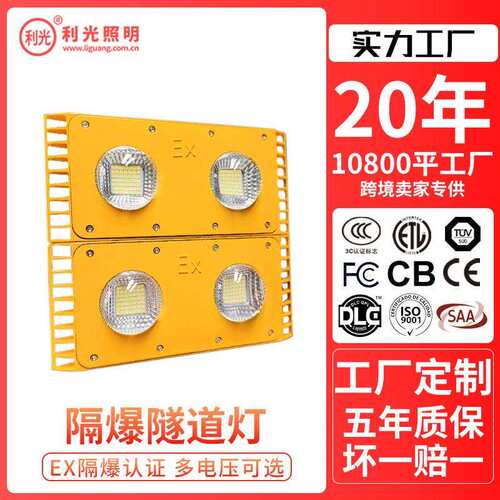 跨境专属led隔爆灯50W100W矿井加油站船用厂房户外灯低压隧道灯
