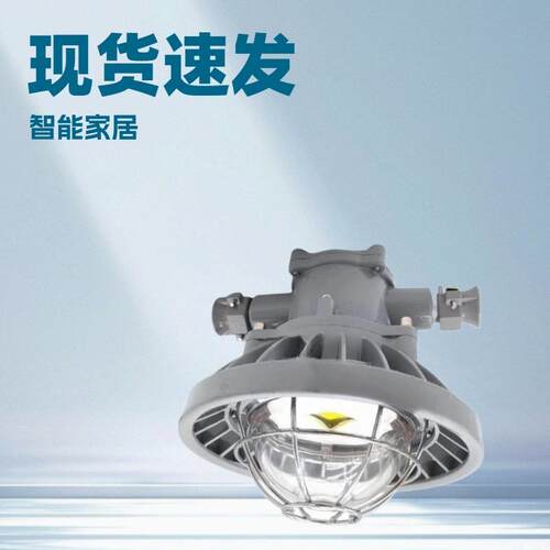 圆型井下DGS24/127L(A)DGS30/127L(A)DGS36矿用隔爆型LED巷道灯