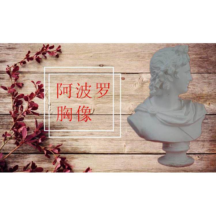 美术石膏头像阿波罗胸像素描石膏像静物写生胸像美术器材