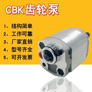 F3.2 F4.8 F6.8 CBK齿轮泵CBK CBK F1.6 F8.0微型齿轮泵 F2.1