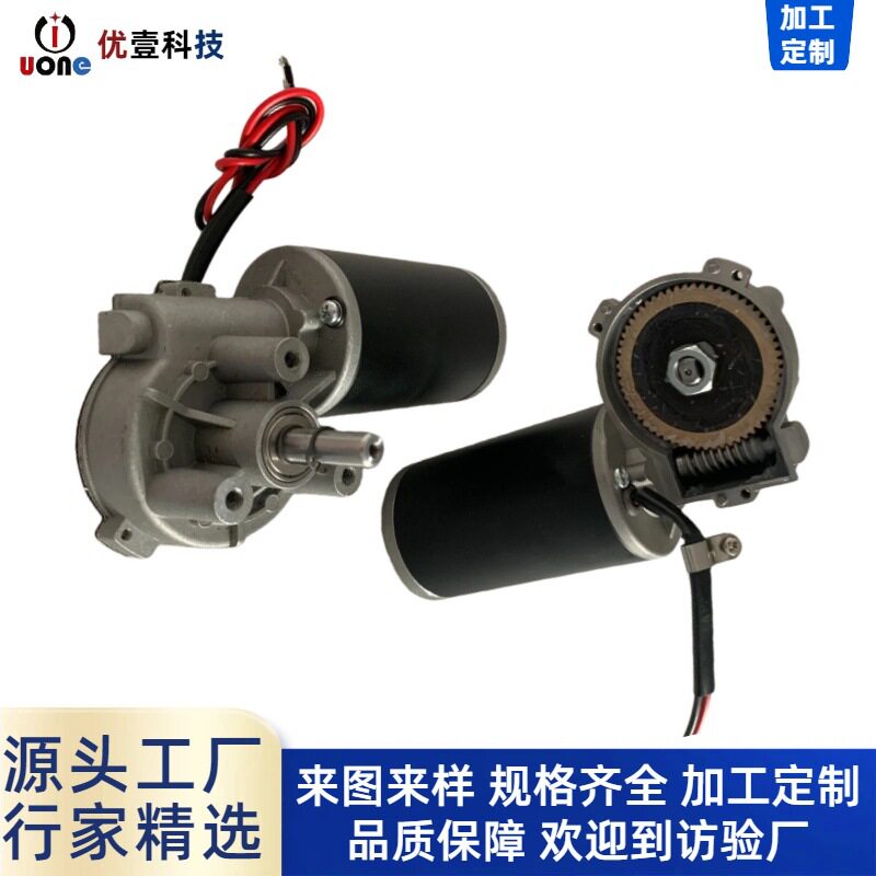 D63减速电机 爬楼机电机大力矩24v升降电机 蜗轮蜗杆直流电机马达