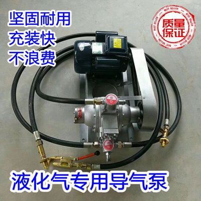 液化气泵液化气导气泵充气过气泵倒气充装泵220v48v12v车载导气泵