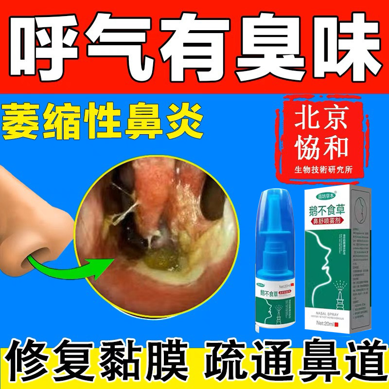 日本治疗鼻炎专用特效药贴敏性萎缩性干燥性鼻炎鼻黏膜萎缩鼻出血