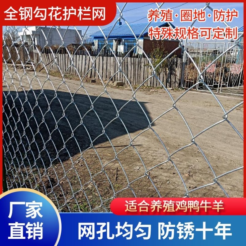 热镀锌镀锌铁丝网围栏鱼塘钢丝网勾花网养殖养鸡果园牛羊防护网