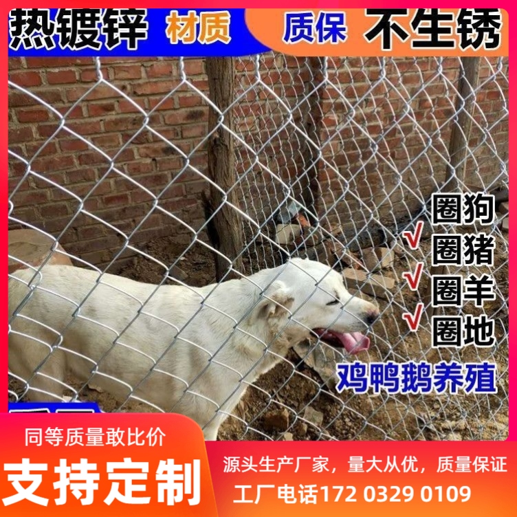 热镀锌铁丝网围栏铁网格网钢丝网勾花网养殖鸡羊狗果园防护护栏网