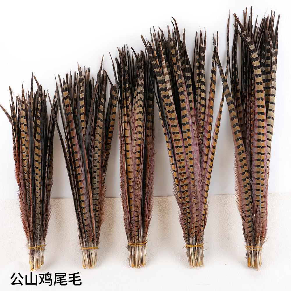 10-65CM公山鸡尾京剧舞台翎子