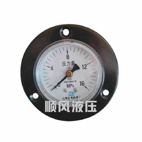 船用液压舵机压力表