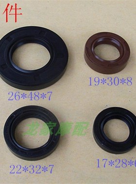 福喜巧格ZY100鬼火RSZ100车玩丽鹰摩托车发动机油封全车油封