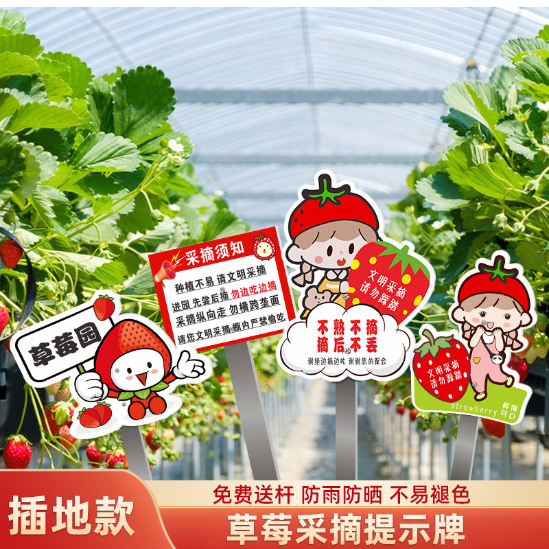 可插地可悬挂提示牌温馨提示语户外草莓园禁止品尝警示牌农场标志牌
