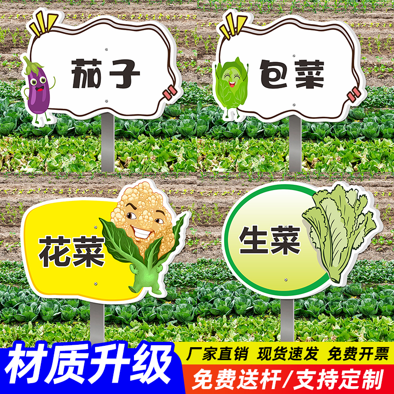 户外蔬菜名称介绍牌子菜园菜牌昵称蔬菜牌幼儿园学校班级牌种植基地
