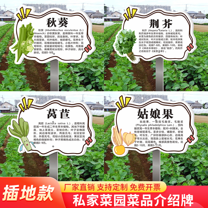 私家菜园菜品标识蔬菜水果土豆小白菜介绍牌子户外插地牌幼儿园学校菜地名称标牌信息介绍牌可定制