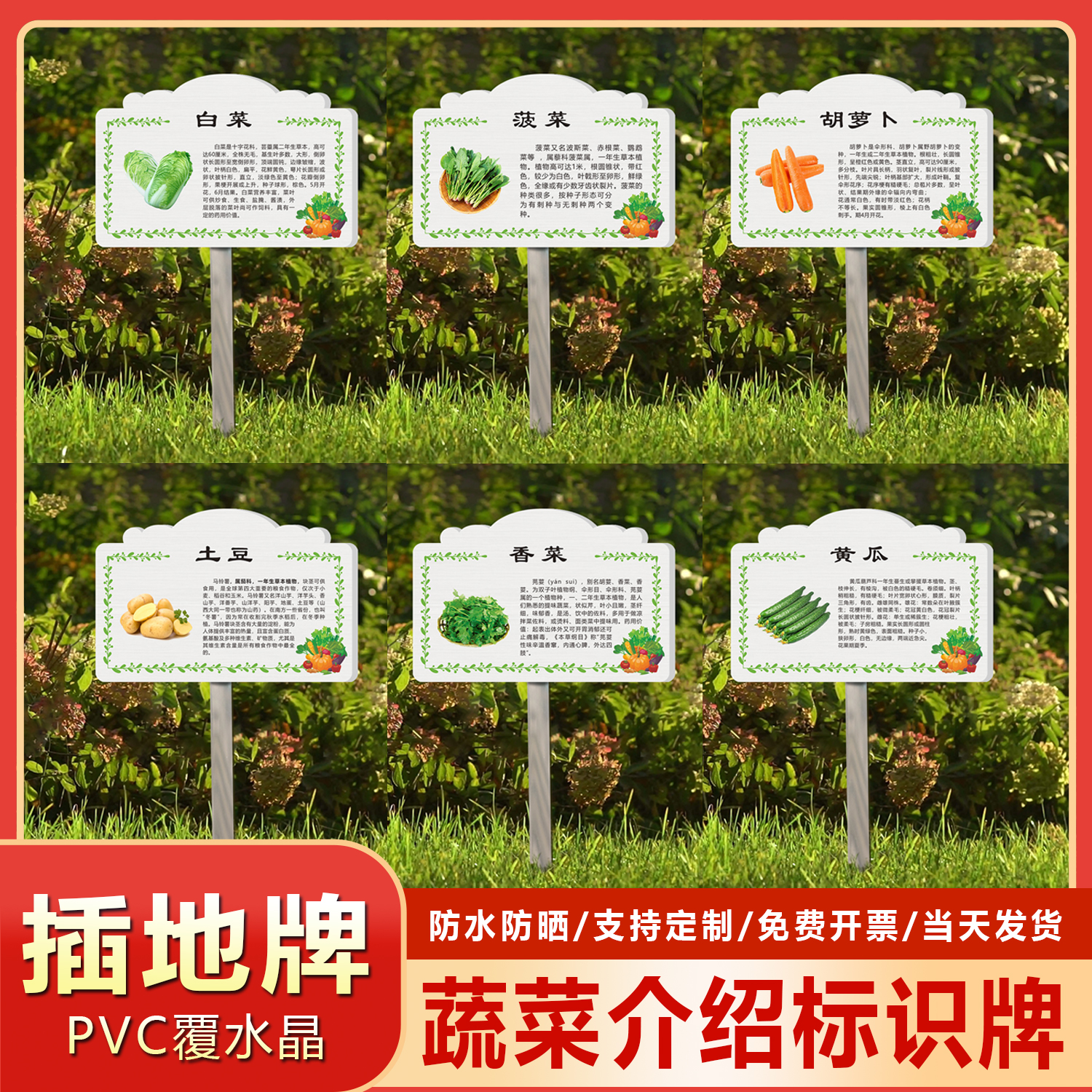 PVC插地防水送杆蔬菜介绍定制