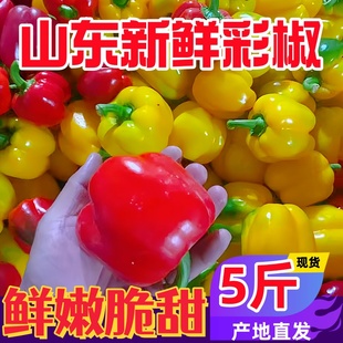 彩椒新鲜水果甜椒生吃七彩辣椒七彩椒五彩灯笼红小米椒圆椒蔬菜青
