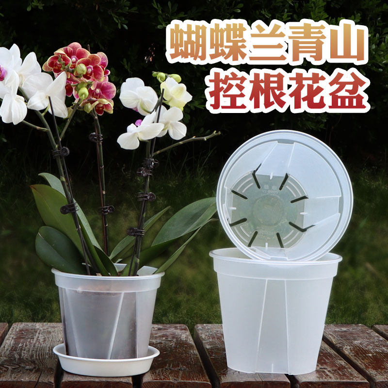 速发蝴蝶兰专用育盆透明透气加厚塑料青山盆花兰花苗杯家用盆栽控