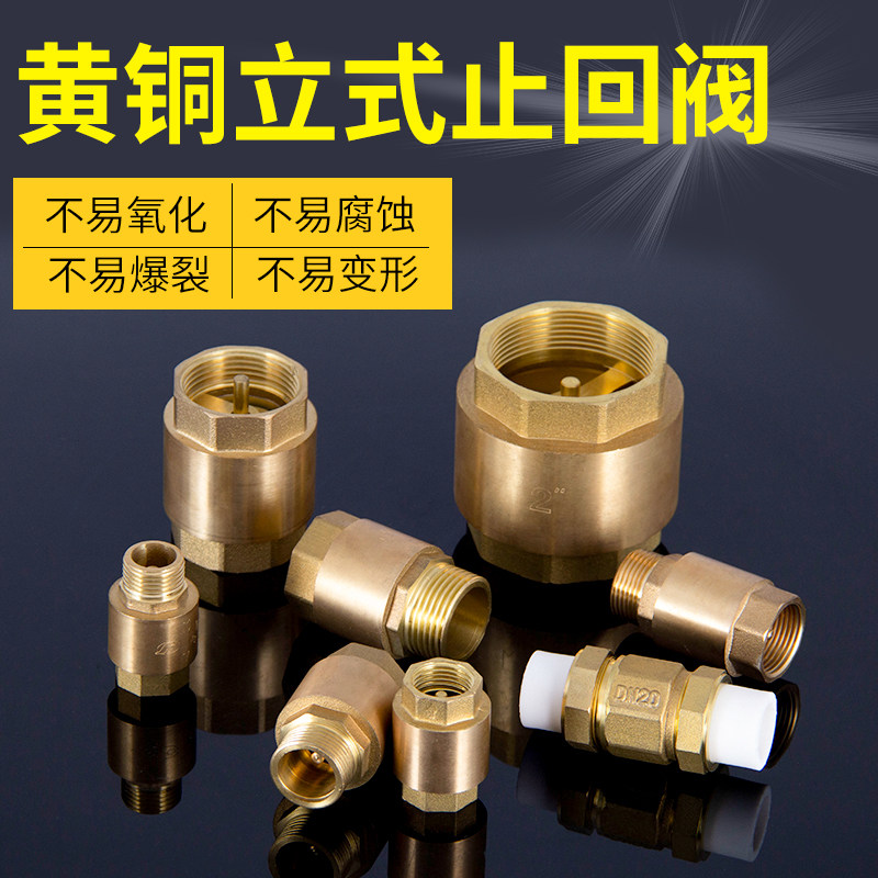 速发4分6式止回阀立分PPR水管单向阀1逆止流阀D15 20 25 水表寸止