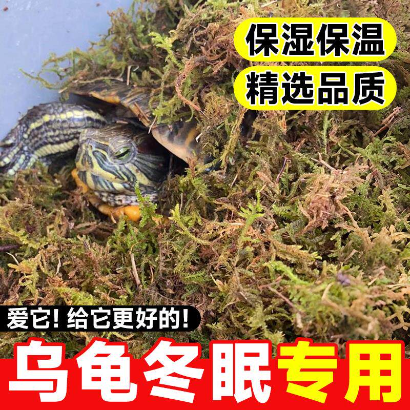 速发乌龟冬眠专用神器草藓椰土过装冬备用品蜗牛爬宠苔龟冬眠垫材