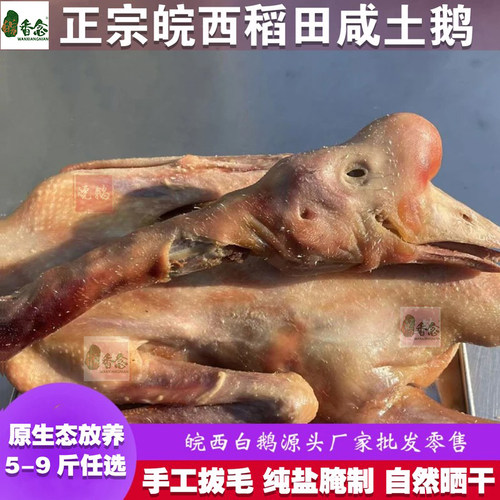 【散养土鹅】六安皖西大白鹅腌制鹅大别山特产腊鹅笨咸鹅