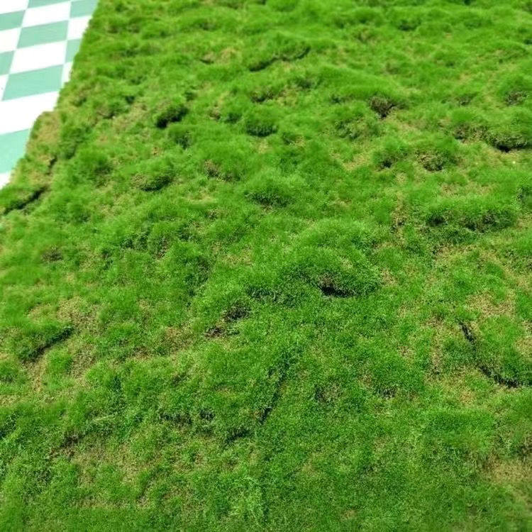 现货速发绿色植物墙青苔藓草皮青苔草坪盆景草坪绿植场景橱窗假苔