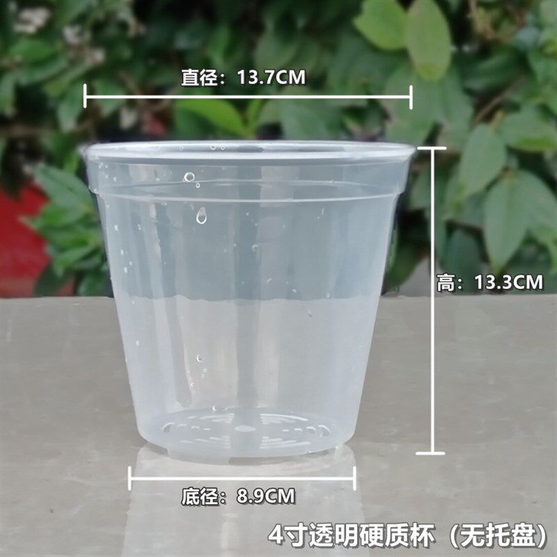 现货速发.5寸4寸蝴蝶兰花盆控根透气兰花杯石斛盆栽种植高透明育