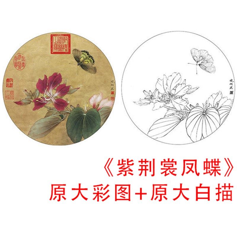 现货速发工笔花鸟小品白描底稿-李晓明紫荆裳凤蝶-原大实物打印稿