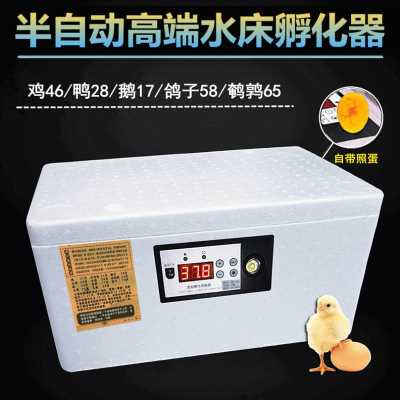 现货速发厂销智能孵化器小型家用孵化机全w自动智能鸡鸭鹅鸽蛋保
