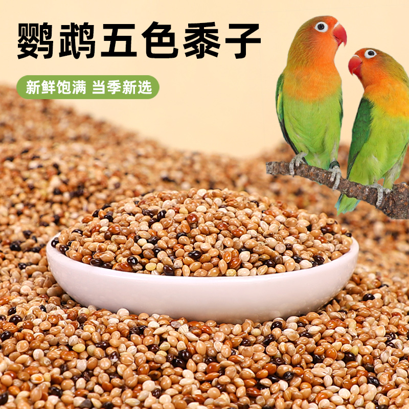 鹦鹉粮食五色黍子虎皮玄凤营养主粮混合营养粮食鸟食鹦鹉饲料