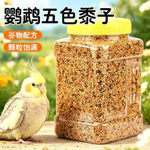 牡丹虎皮玄凤粮食五色黍子鸟粮