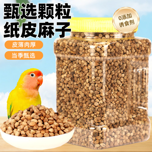 鹦鹉麻子火麻仁火麻籽
