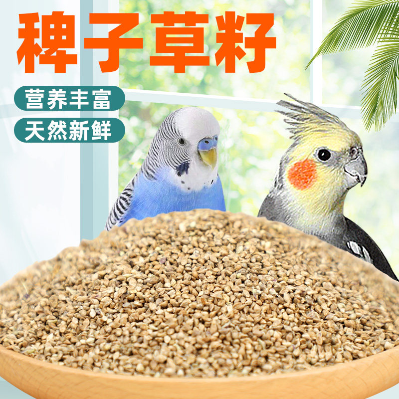 鹦鹉饲料白尖带壳鸟粮