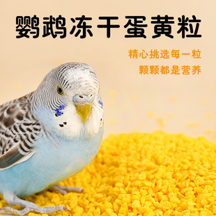 鹦鹉冻干蛋黄颗粒训练奖励零食玄凤牡丹虎皮饲料伴侣繁殖孵蛋鸟粮