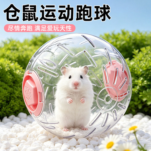 小仓鼠跑球户外运动玩具