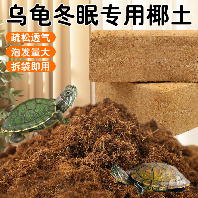 爬宠椰土乌龟冬眠过冬垫料