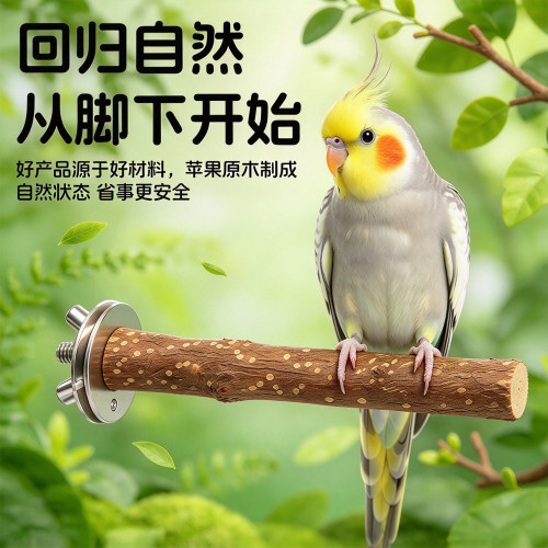 鹦鹉栖息站棒天然原木鸟站杆