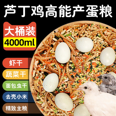 芦丁鸡专用饲料育雏产蛋粮