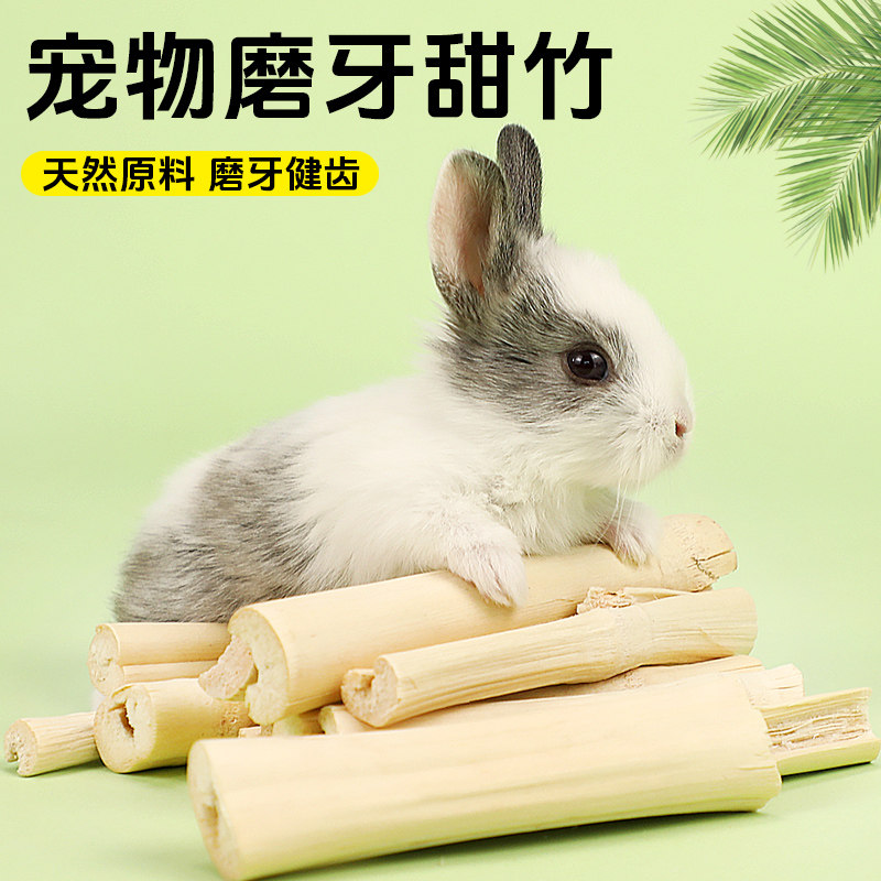 冠之亚兔子甜竹磨牙仓鼠宠物零食龙猫荷兰猪豚鼠兔子通用品健齿,宠物/宠物食品及用品,兔兔磨牙,淘宝优惠券,粉丝福利购,淘宝优惠卷