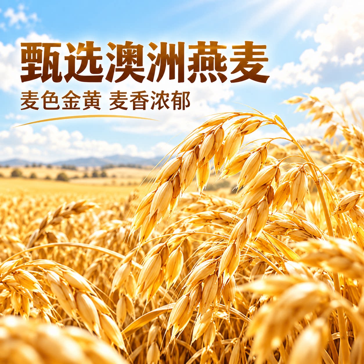 【五谷杂粮】澳洲燕麦片红枣枸杞红豆薏仁黑米黑芝麻冲泡即食整箱