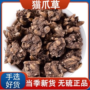 猫爪草中药材正品官方旗舰店猫爪草散节茶野生猫爪草的功效与作用