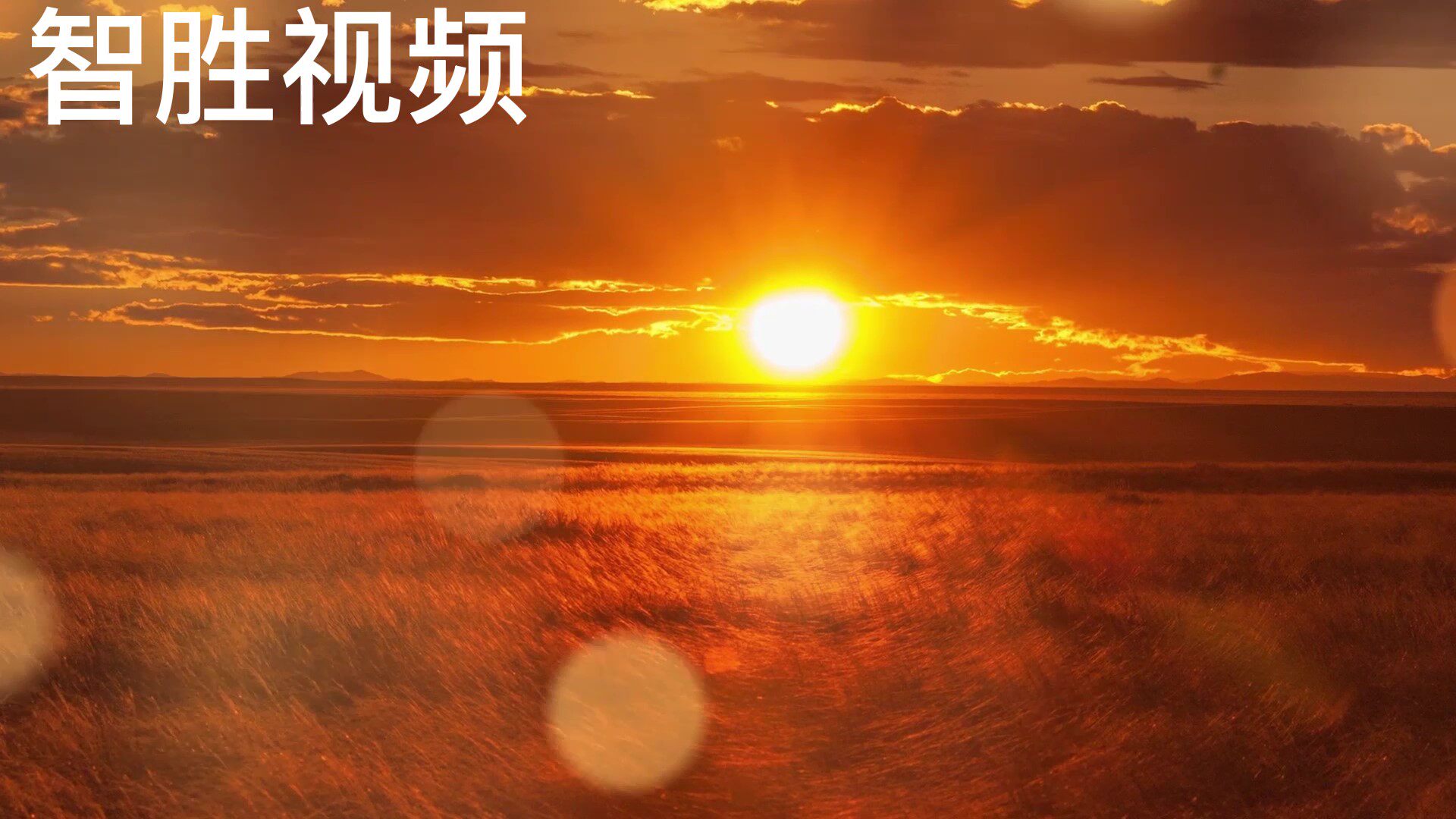天亮了歌曲配乐舞台舞蹈大屏led背景视频