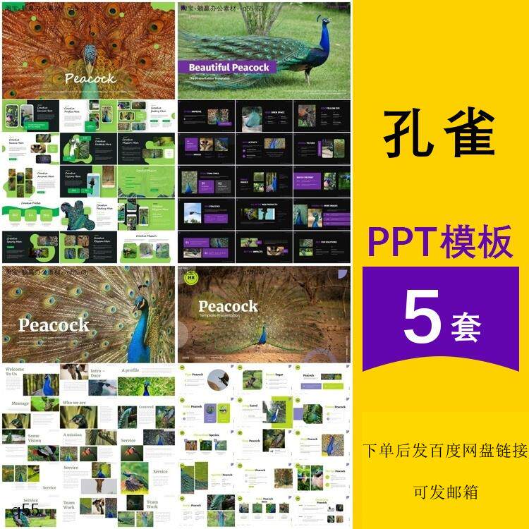 孔雀美丽开屏介绍认识观察保护动物幼儿园班会主题背景ppt模板