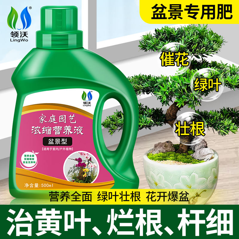 速发营养盆液景植物通用型治黄叶烂赤罗汉松小叶根楠花卉植物肥料