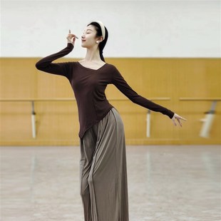 速发舞春夏舞蹈练功服典衣古逸舞专业形体训练飘上长袖 艺考 服装