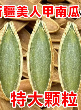 新疆生南瓜子大片农家自种大颗粒饱满原味无添加美人甲发新疆直发