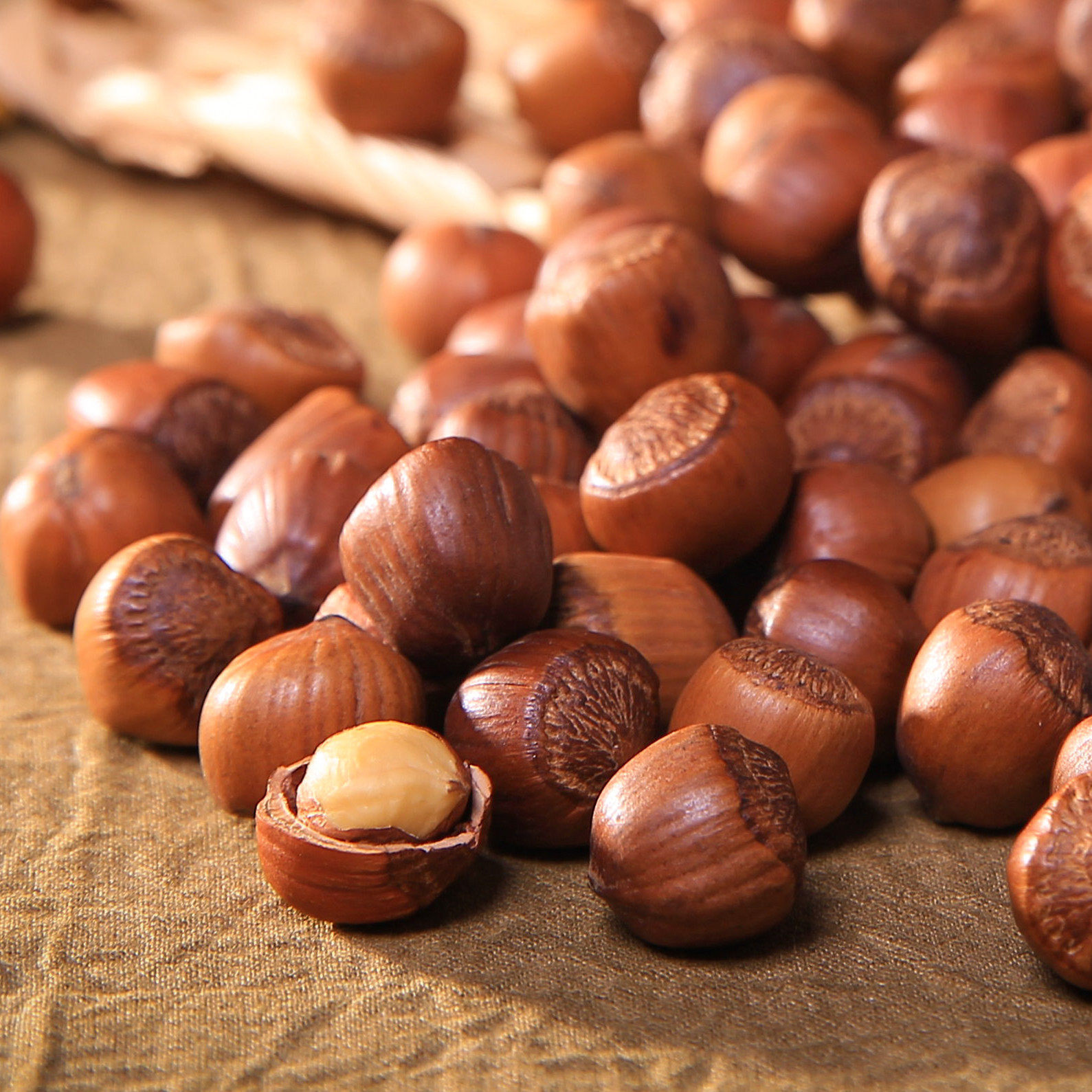 东北开口大榛子2025新货新鲜炒熟坚果干果仁炒货孕妇零食铁岭特产,零食/坚果/特产,榛子,淘宝优惠券,粉丝福利购,淘宝优惠卷