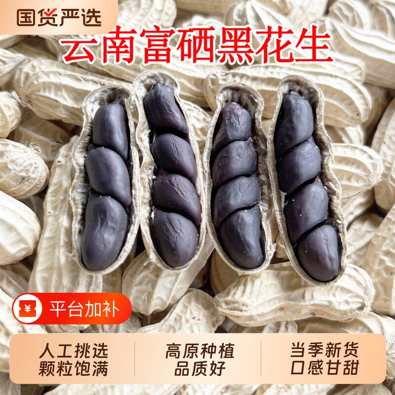 黑皮花生云南特产黑花生带壳富硒网红零食仁晒干新货普洱大颗粒