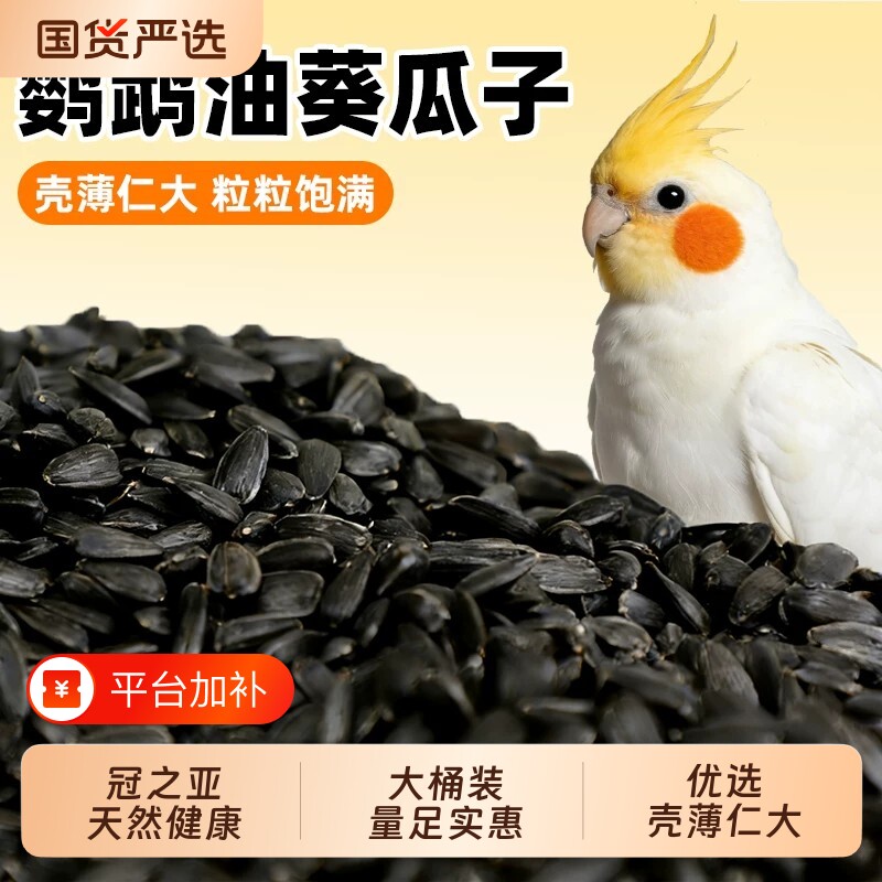 鹦鹉瓜子玄凤虎皮饲料油葵小瓜子鸟食零食训练奖励黑珍珠鸟粮