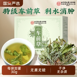 北京同仁堂车前草野生利尿茶泡水喝尿酸茶高降袋泡茶包官方旗舰店