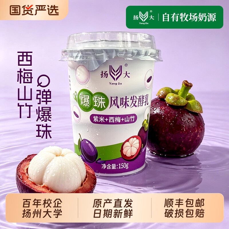 扬大酸奶扬州大学网红爆珠西梅山竹低温酸牛奶生牛乳茉莉花发酵乳