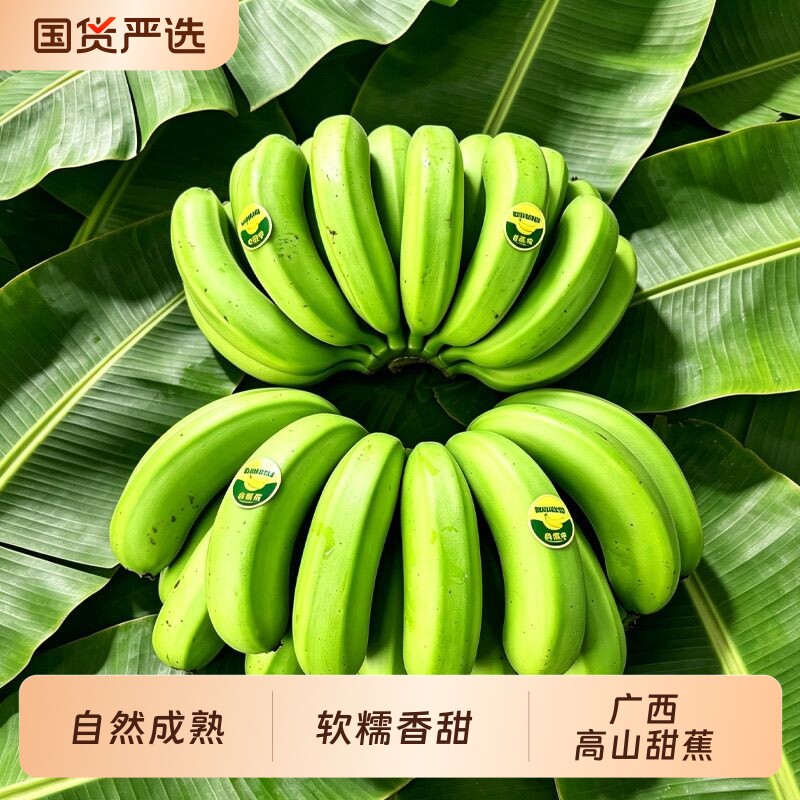 广西高山甜香蕉5/9斤新鲜水果现摘现砍现发整箱自然熟青皮香蕉